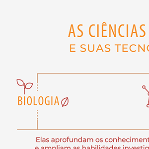 Habilidades De Desenvolvimento De Programas Integração Ideia De