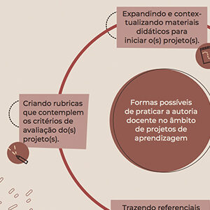 Práticas pedagógicas e desenvolvimento profissional docente: o